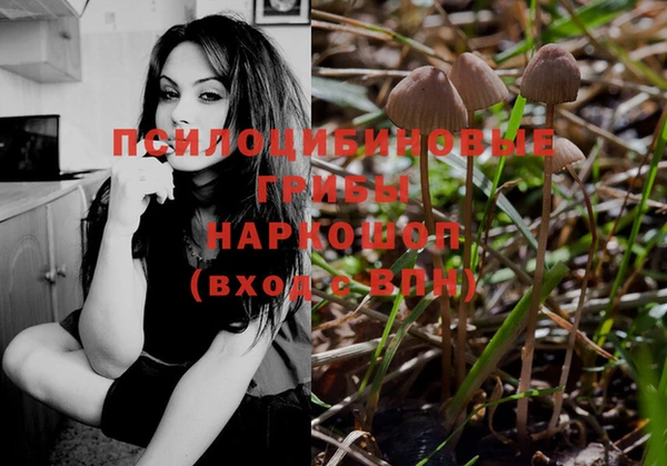 молекула духа Кукмор