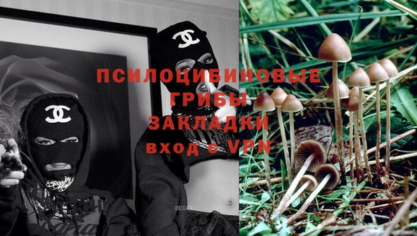 молекула духа Кукмор