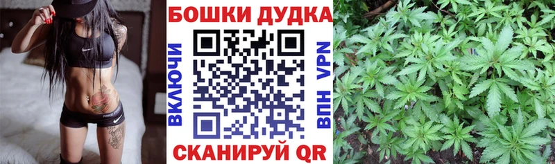 Купить где  Верещагино  МАРИХУАНА индика 